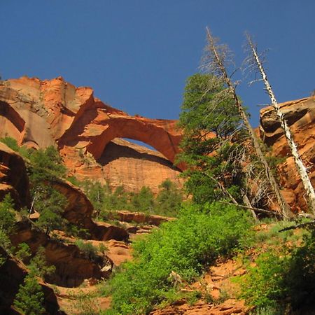 Holiday Inn La Verkin - Zion Park By Ihg Zewnętrze zdjęcie
