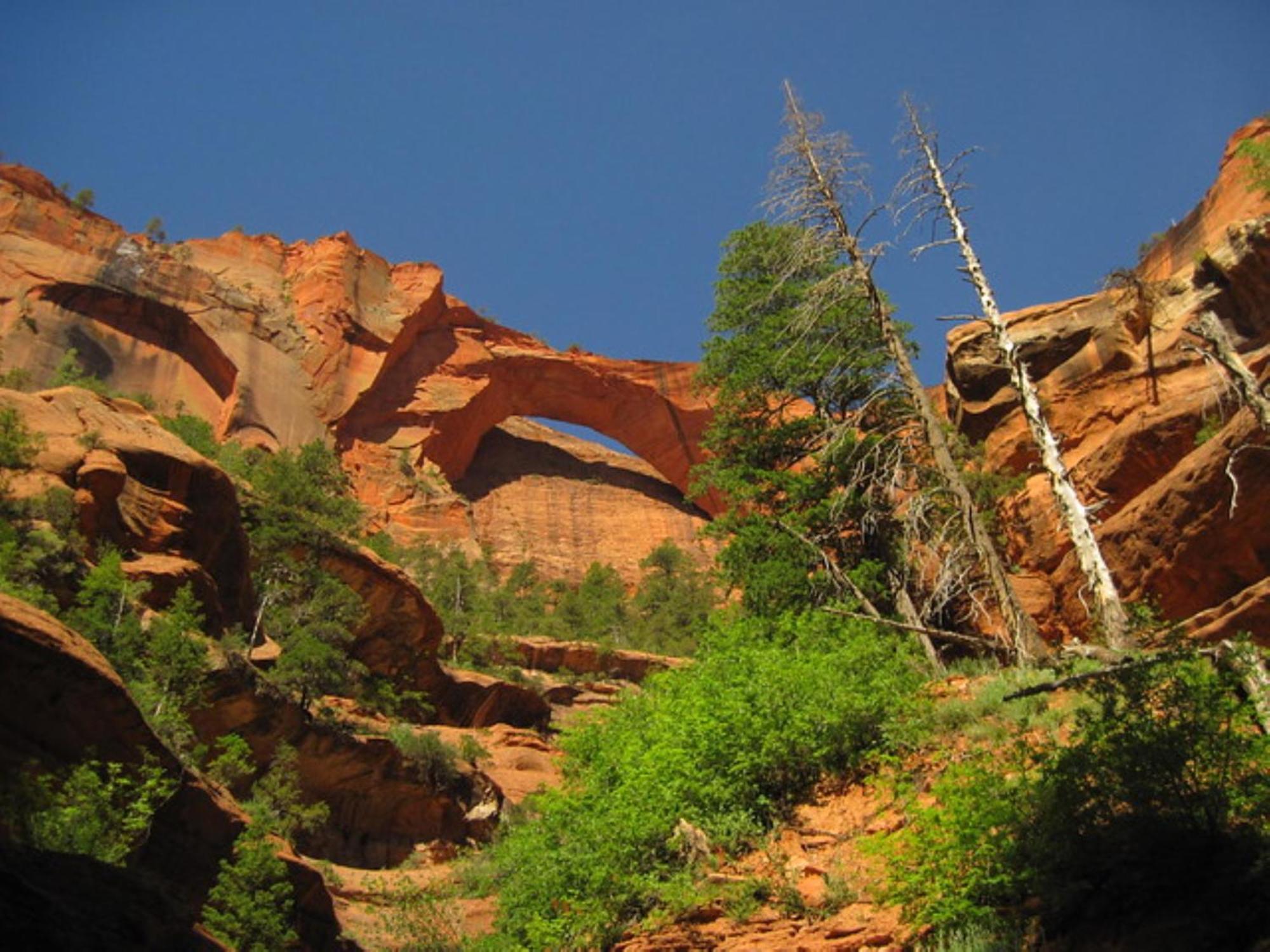 Holiday Inn La Verkin - Zion Park By Ihg Zewnętrze zdjęcie